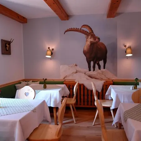 Gamshof 3* Кіцбюель