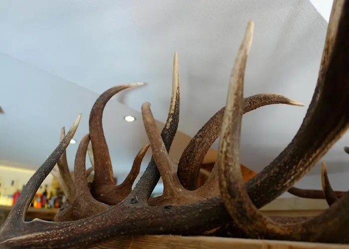 Gamshof Hotel Kitzbühel