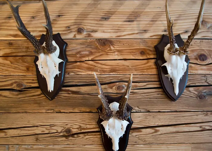 Gamshof Hotel Kitzbühel