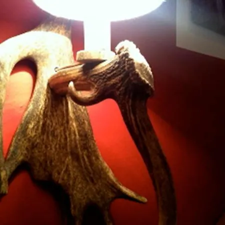 加姆斯霍夫酒店 酒店