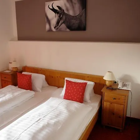 酒店 加姆斯霍夫酒店 3*