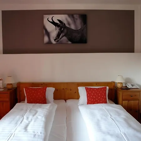 加姆斯霍夫酒店 基茨比厄尔