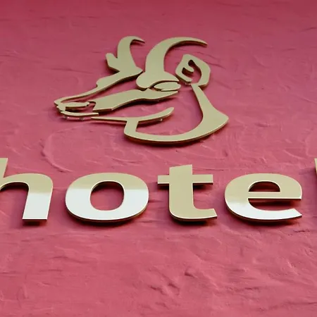 加姆斯霍夫酒店 酒店 基茨比厄尔