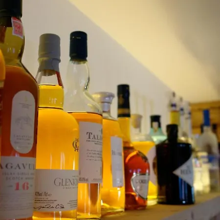 酒店 加姆斯霍夫酒店 3*