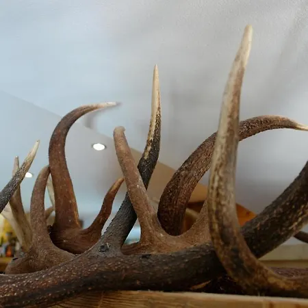 加姆斯霍夫酒店 酒店 基茨比厄尔