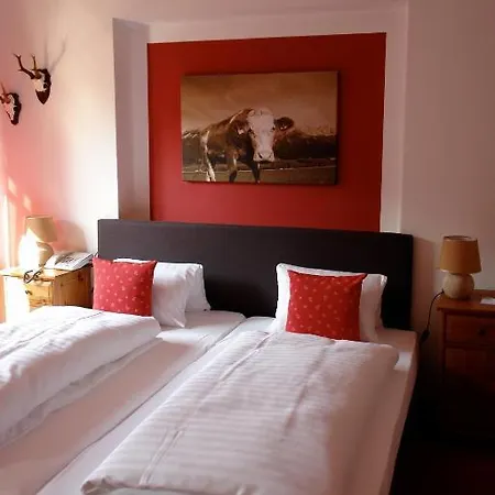 加姆斯霍夫酒店 3*