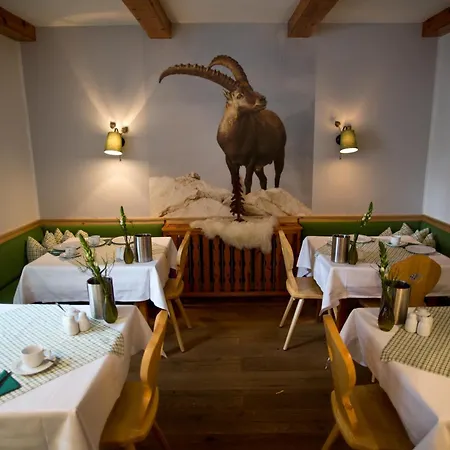 加姆斯霍夫酒店 3*