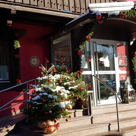 加姆斯霍夫酒店 3*